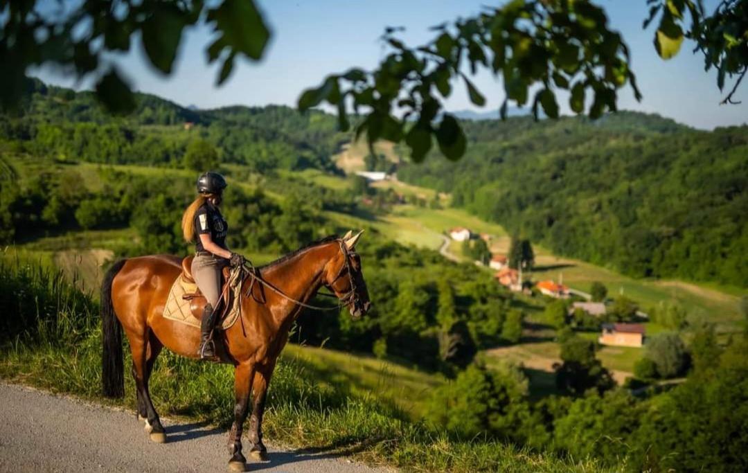 Вилла Kuca Za Odmor Freya Крапинске-Топлице Экстерьер фото